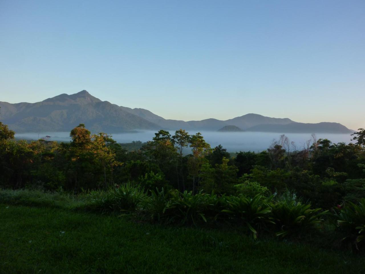 Wompoo Eco Retreat Bed & Breakfast Cow Bay Bagian luar foto